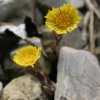 20050521_086